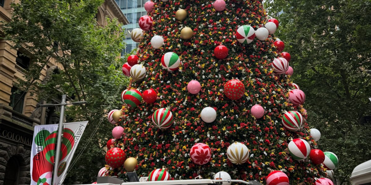 xmas 2024.4 Lifting Christmas Into Place At Martin Place